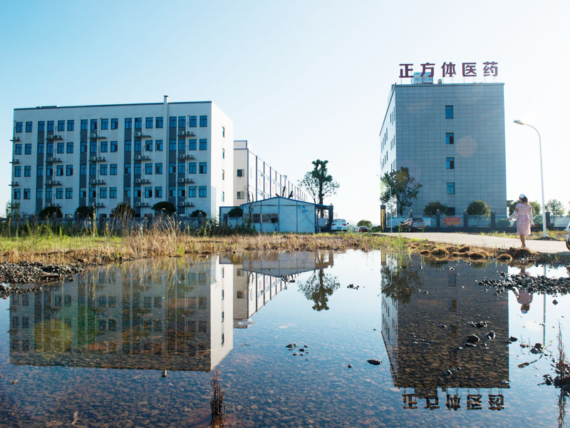 企業(yè)風采